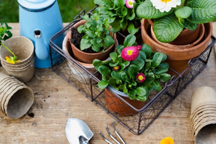 Syla Gartenbau Rundum-Service Solingen Terrassenbau Erdaushub