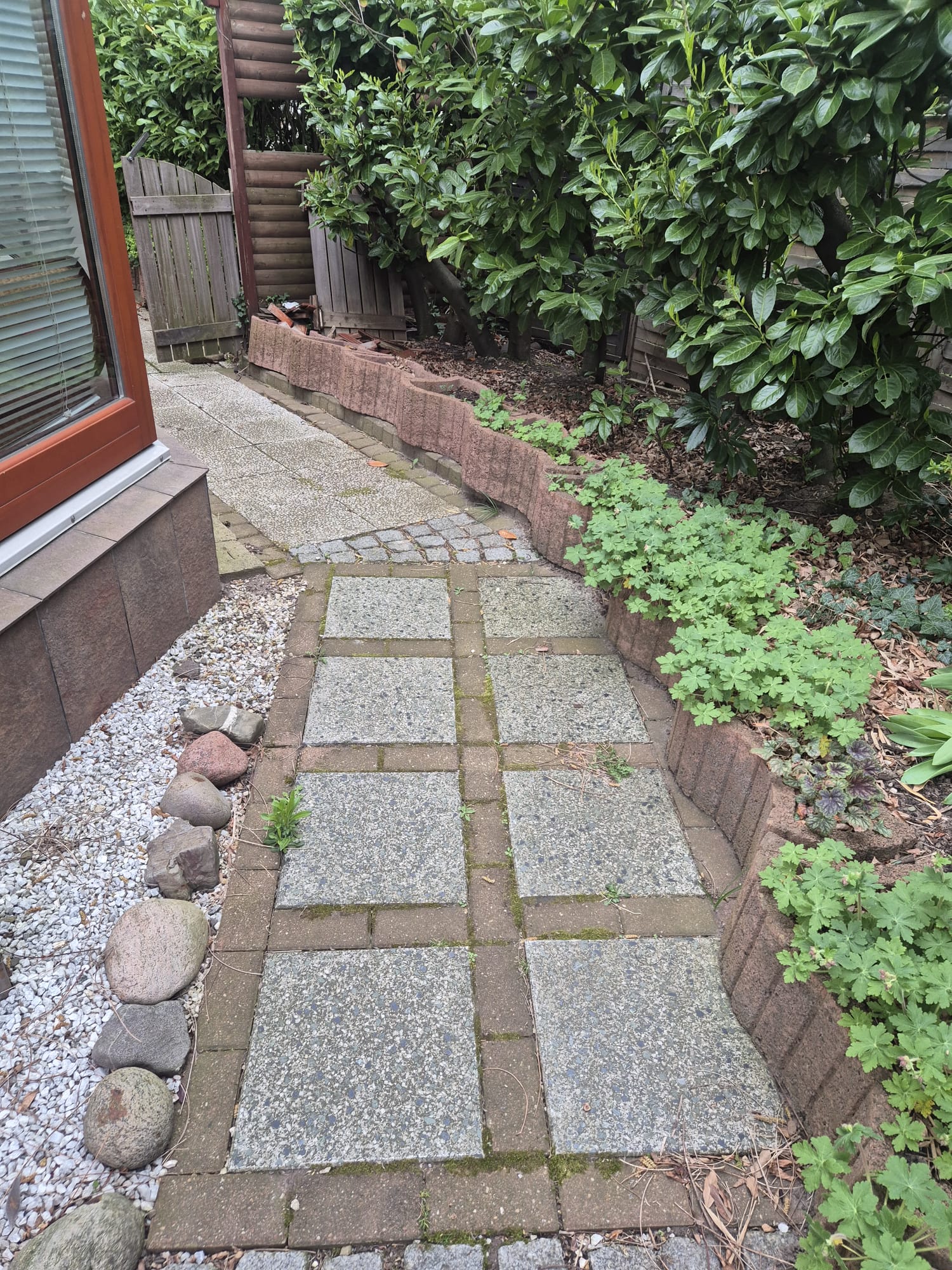 Vorher – Unebener und abgenutzter Gartenweg in Solingen Vorher: Alter, unebener und abgenutzter Gartenweg in Solingen vor den Pflasterarbeiten durch Syla Gartenbau