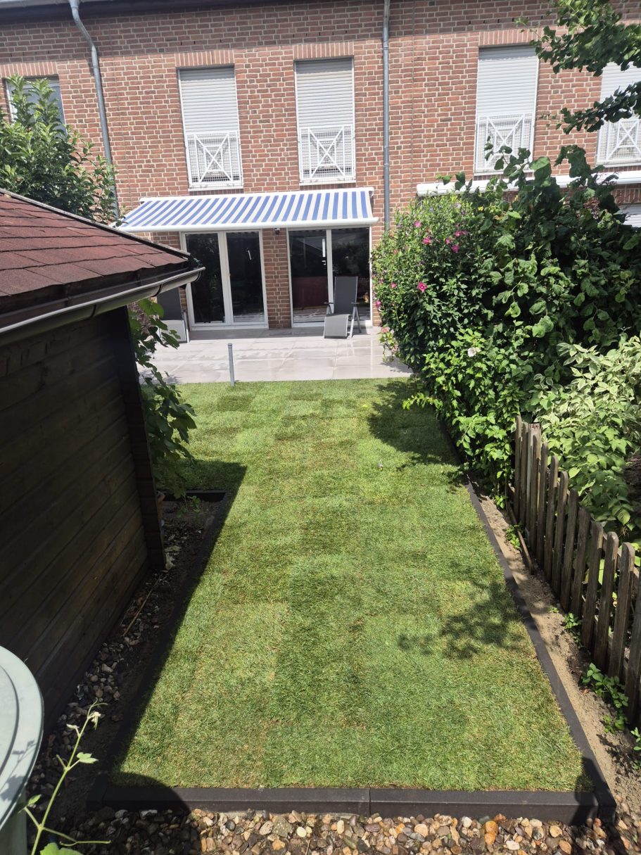 Nachher – Frischer Rollrasen vor der neuen Terrasse in Solingen Nachher: Frischer Rollrasen und neue Rasenfläche nach Gartenumbau und Terrassenbau in Solingen durch Syla Gartenbau