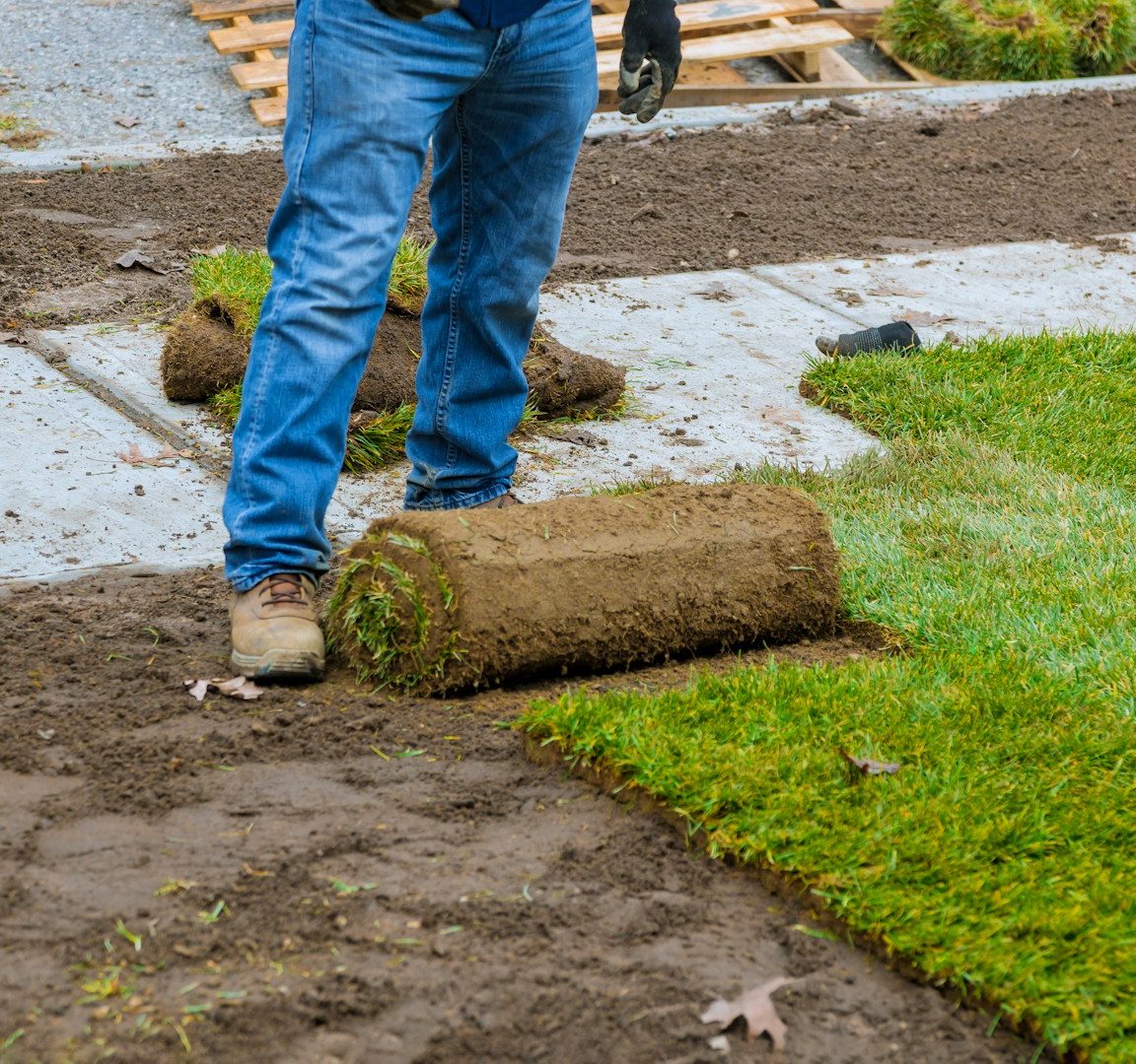 Gartenbau Haan Rollrasen verlegen Syla Gartenbau Wuppertal Solingen